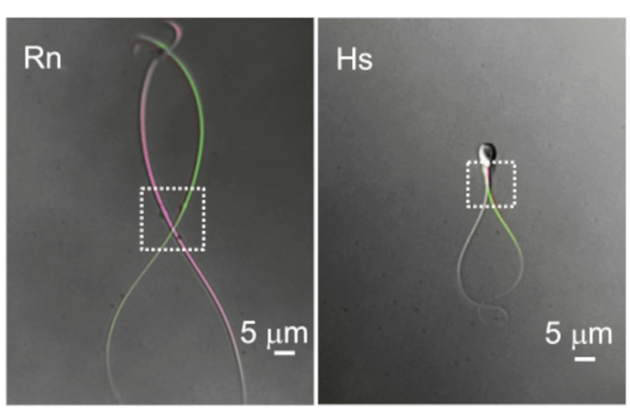 Figure 10