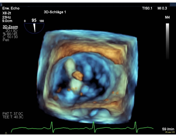 Figure 9