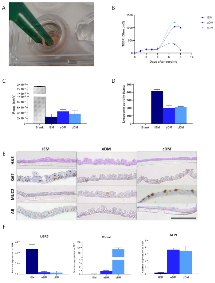 Figure 6