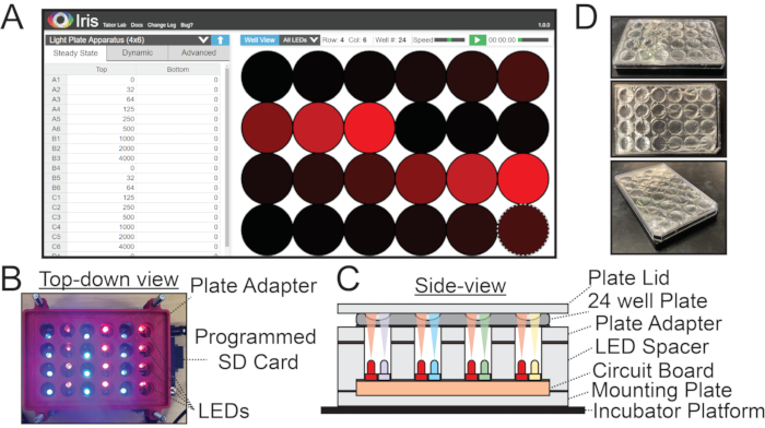 Figure 2