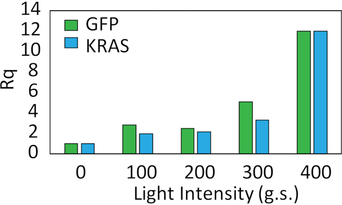 Figure 7