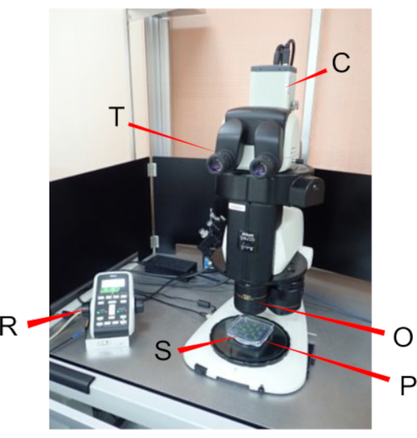 Figure 2