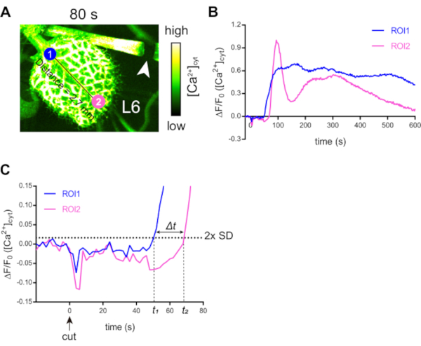 Figure 6