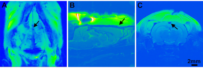 Figure 5