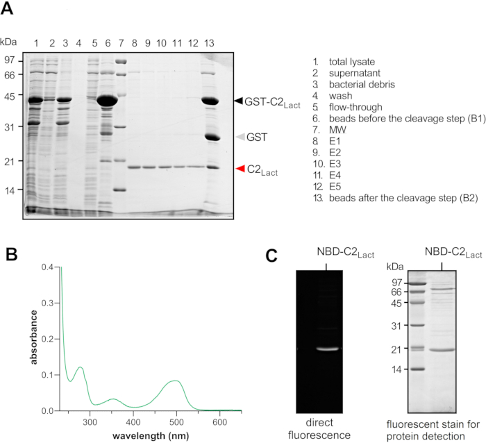 Figure 2