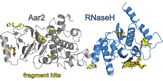 Figure 7