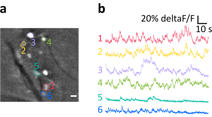 Figure 6