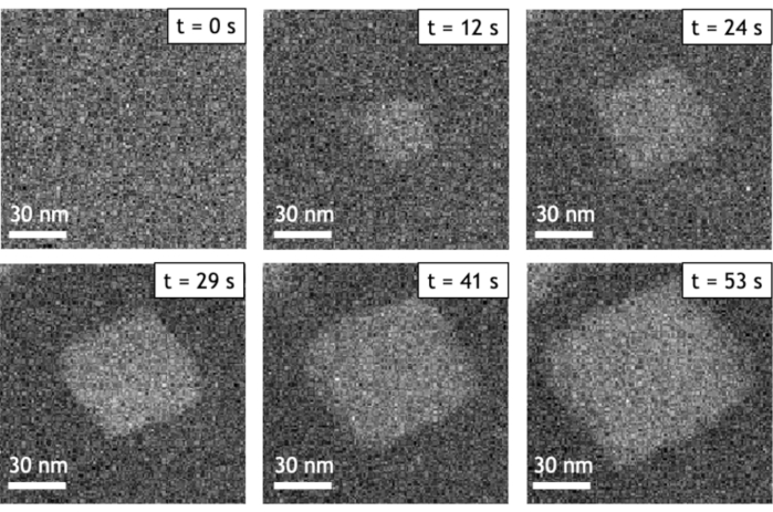 Figure 10