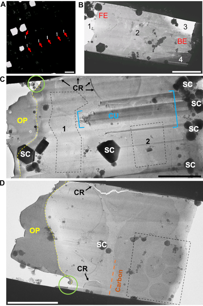 Figure 6