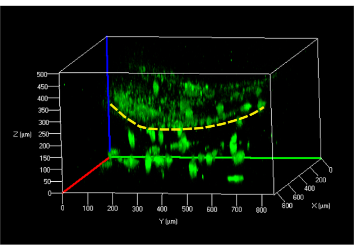 Figure 9