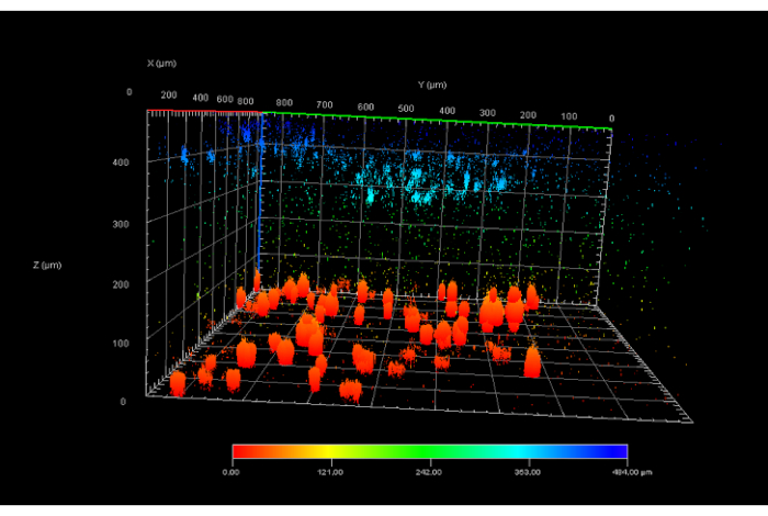 Figure 10