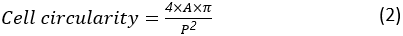 Equation 2