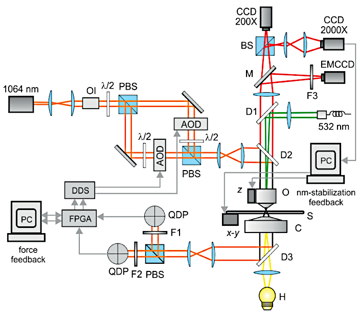 Figure 2