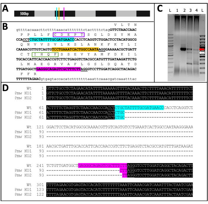 Figure 11