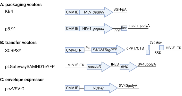 Figure 2