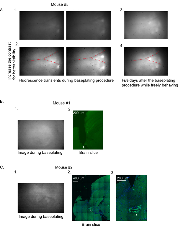 Figure 6