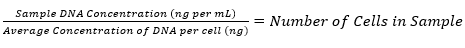 Equation 6