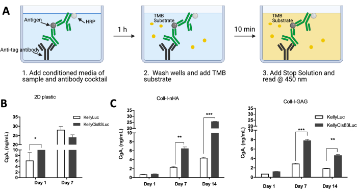 Figure 10