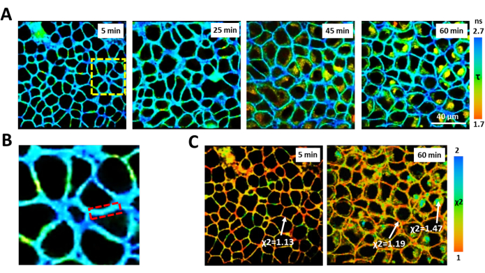 Figure 5