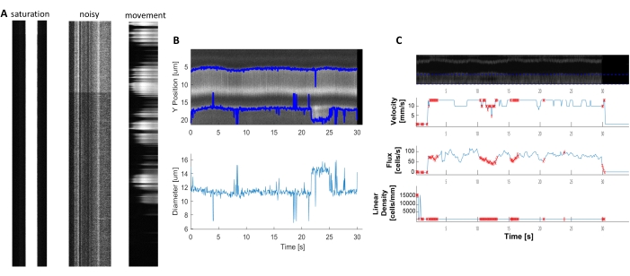 Figure 6