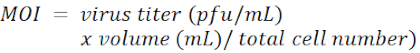 Equation 1