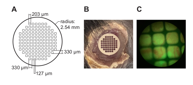 Figure 7