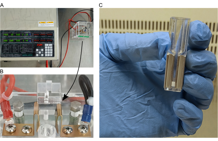 Figure 2