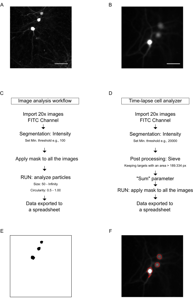 Figure 4