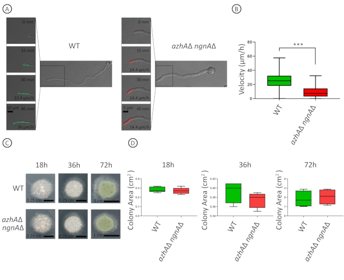 Figure 5