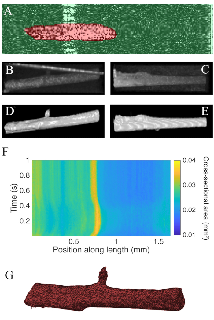 Figure 7