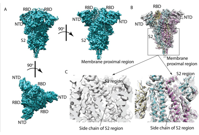 Figure 7