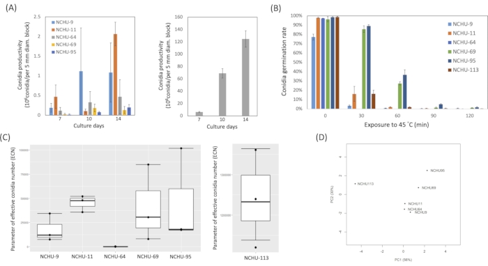 Figure 5