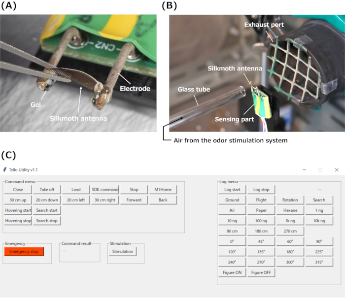 Figure 3