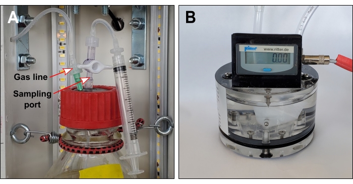 Figure 4