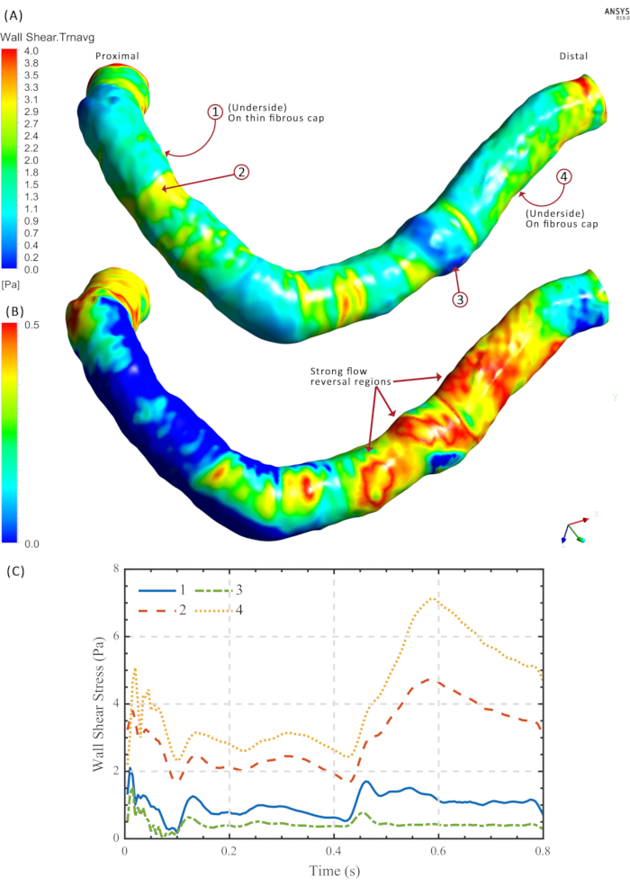 Figure 10