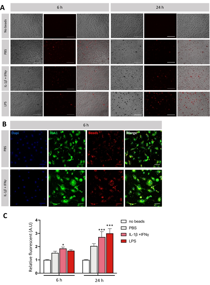 Figure 4