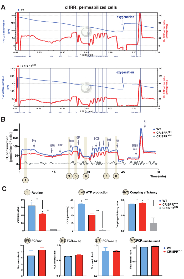 High-Resolution Respirometry to Assess Bioenergetics in Cells and ...