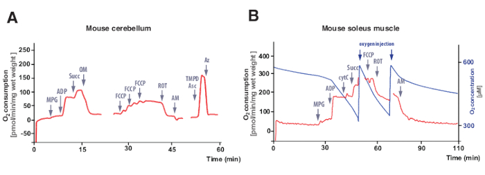 High-Resolution Respirometry to Assess Bioenergetics in Cells and ...