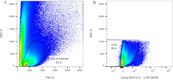 Figure 5