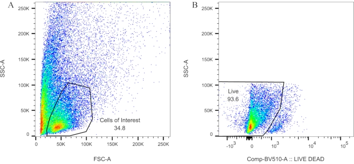 Figure 6