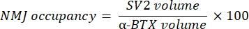 Equation 4