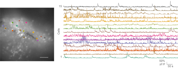 Figure 6