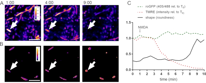 Figure 5