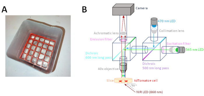 Figure 2