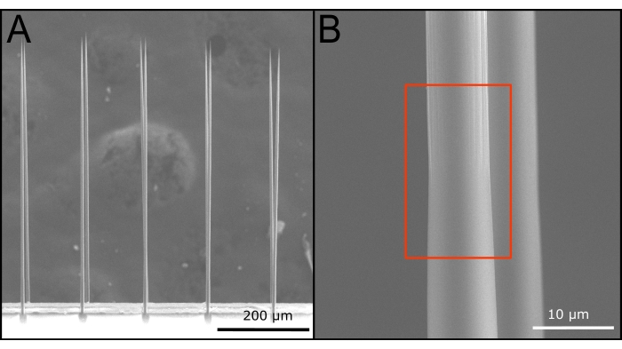 Figure 11