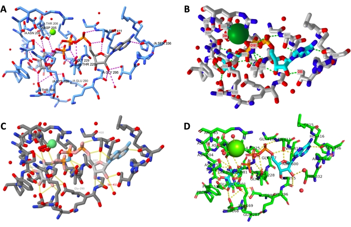 Figure 12