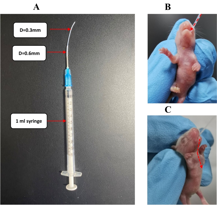 Figure 2