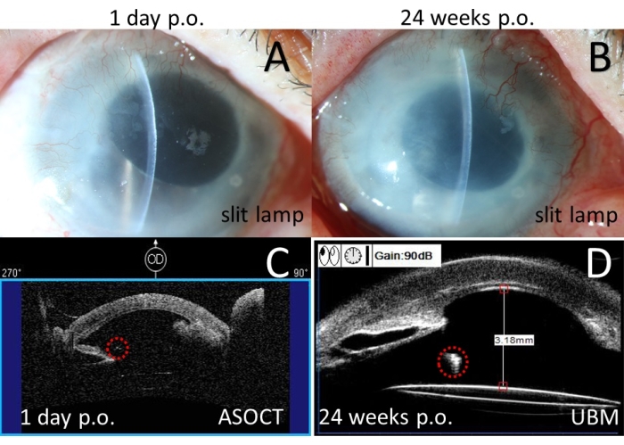 Figure 10