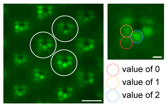 Figure 10