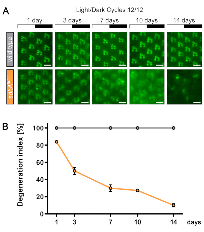 Figure 14